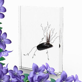 Arte poema da biologia da ciência da saúde da anat