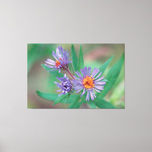 Arte Roxa de Canvas