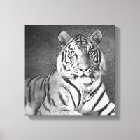 Arte Siberiana Tigre em Preto e Branco - Canvas