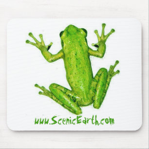 Arte tropical de MousePad do sapo de árvore da