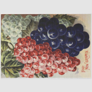 Artigo Nouveau Poster 25 Papel Tecido de Decoupage