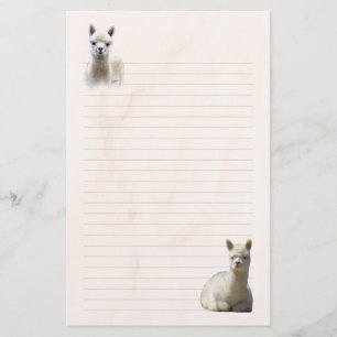 Artigos de papelaria alinhados da alpaca