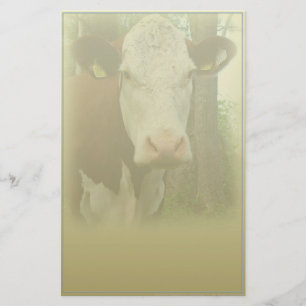 Artigos de papelaria curiosos da vaca