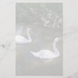 Artigos de papelaria curiosos das cisnes