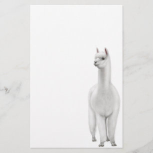 Artigos de papelaria da alpaca