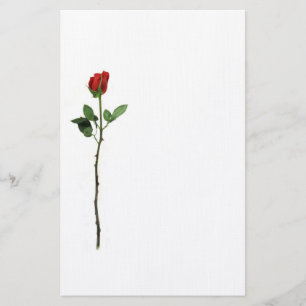 Artigos de papelaria da rosa vermelha