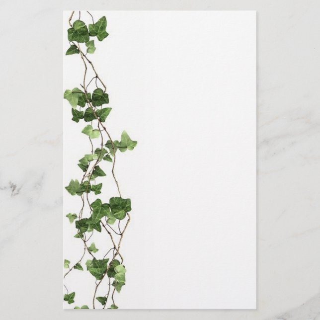 Artigos de papelaria da vinha (Frente)