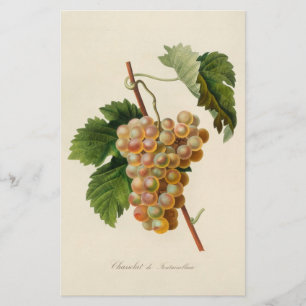 Artigos de papelaria de Chasselat de Fontainebleau