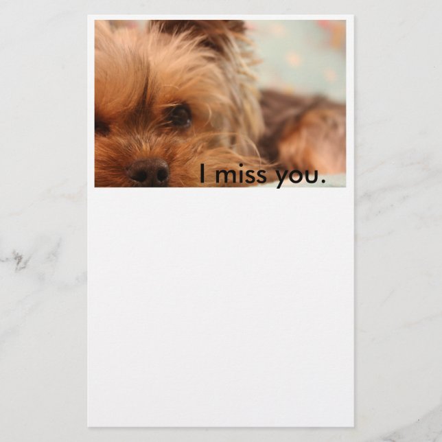 Artigos de papelaria do filhote de cachorro de (Frente)