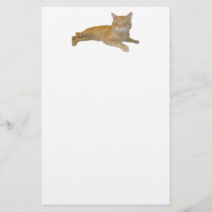 Artigos de papelaria do gato
