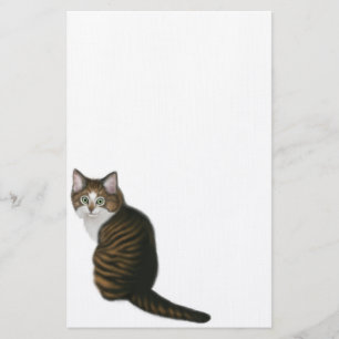 Artigos de papelaria do gato de racum de Maine