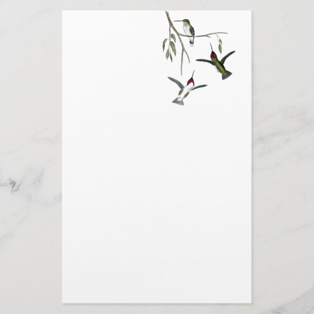 Artigos de papelaria do reciclado do colibri (Frente)