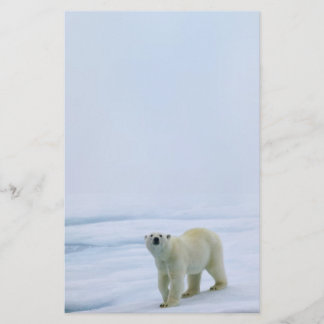 Artigos de papelaria do urso polar