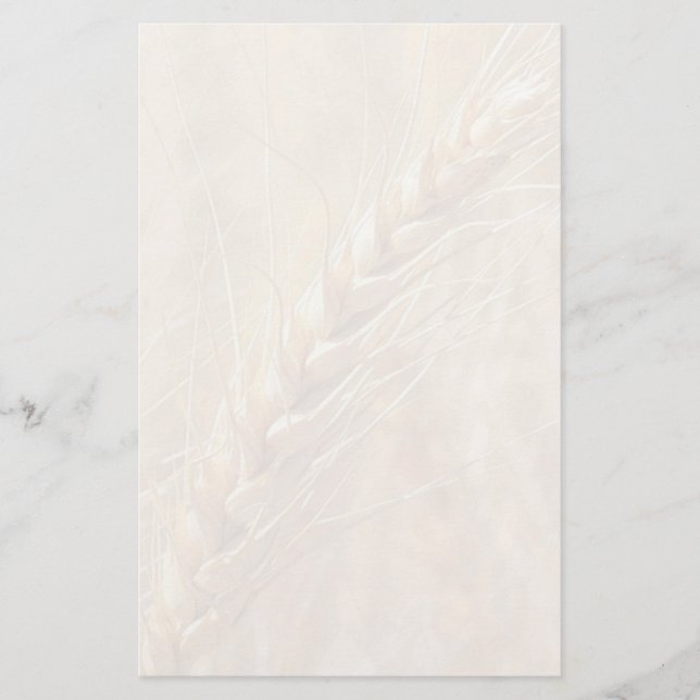 Artigos de papelaria dourados do costume do trigo (Frente)