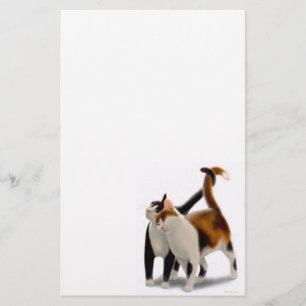 Artigos de papelaria felinos do gato dos amigos