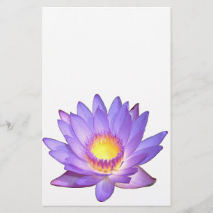 Artigos de papelaria roxos da flor de Lotus