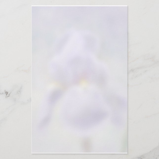 Artigos de papelaria roxos da íris (Frente)