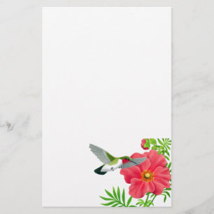 Artigos de papelaria Throated do colibri do rubi