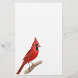 Artigos de papelaria vermelhos cardinais do homem