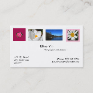 Artista, fotógrafo, cartão de visita zazzler