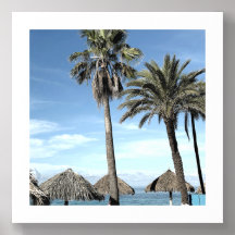Aruba Palms and Beach Palapa Huts