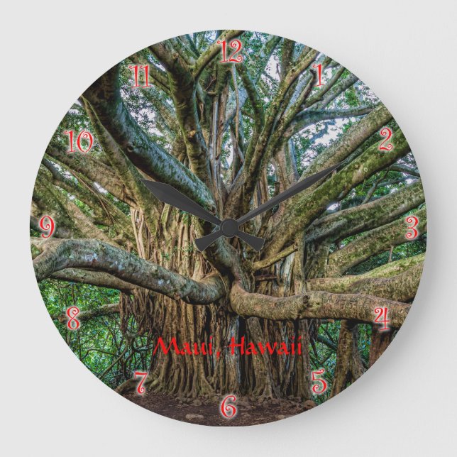 Árvore Banyan ao longo do Relógio Grande de Trilha (Frente)