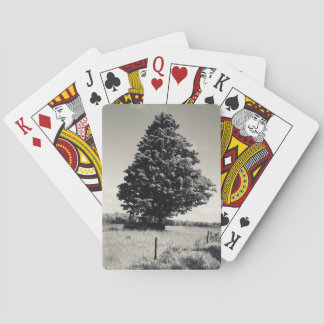 árvore cartas de baralho