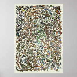 Árvore da Vida - Poster de Evolução - Cor