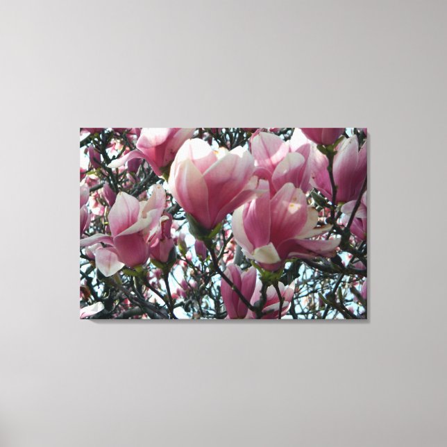 "Árvore das Tulipas" rosa Impressão de Canvas (Frente)