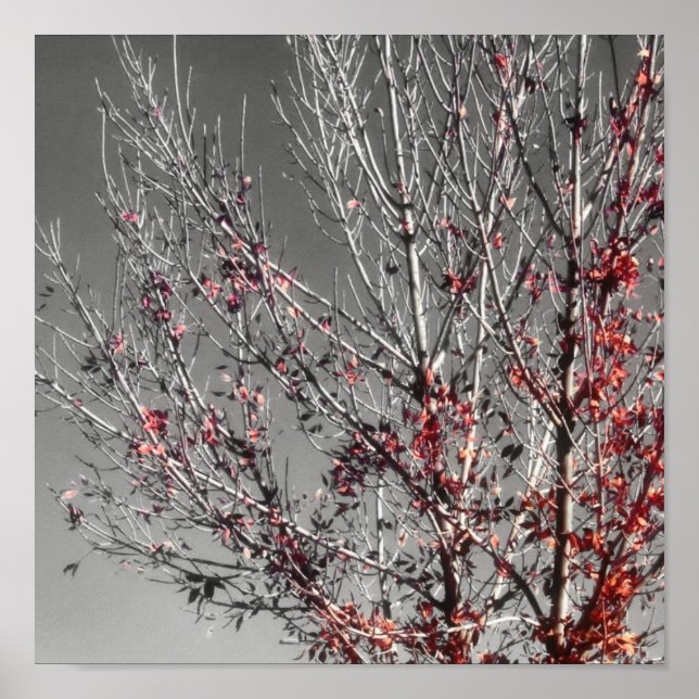 Árvore de esperança impressão (Frente)