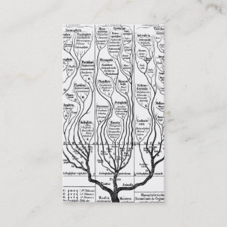 Árvore de Haeckels do cartão de visita da vida