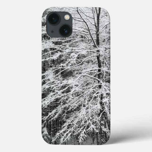 Árvore de Maple Delineada na Neve (Verso)