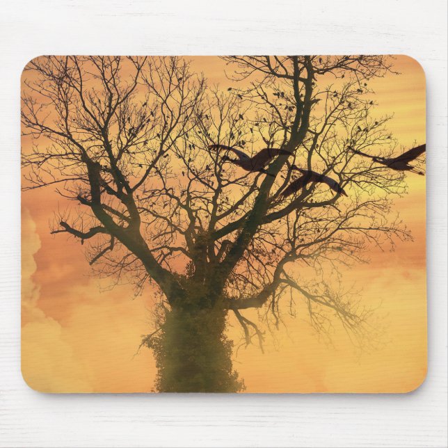 Árvore De Outono Torcida Do Mousepad Ao Sunset (Frente)