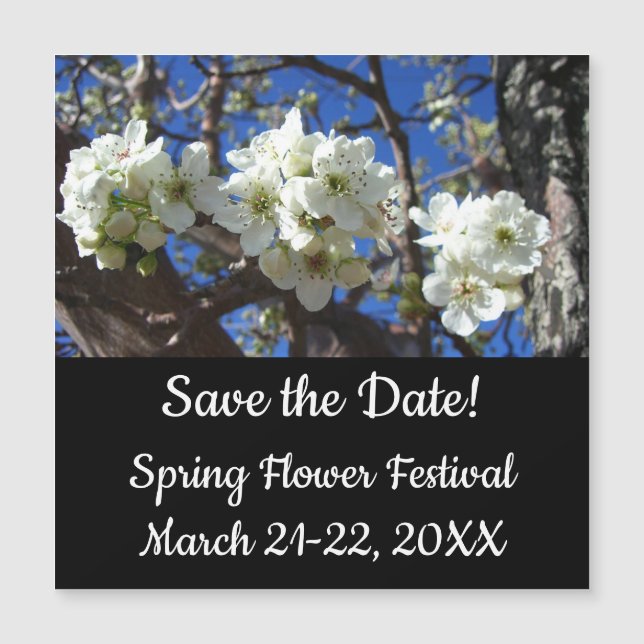 Árvore de pera de Primavera de Flor em Clusters Br (Frente)