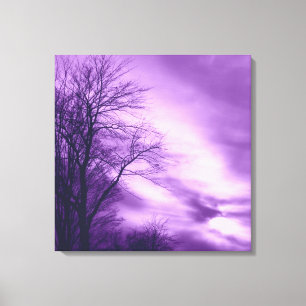 Árvore e céu do inverno em canvas roxas