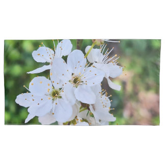 Árvore em Flor na Primavera Romênia – Fotografia d