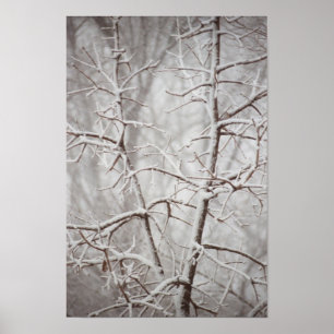 Árvore em um poster da tempestade de neve