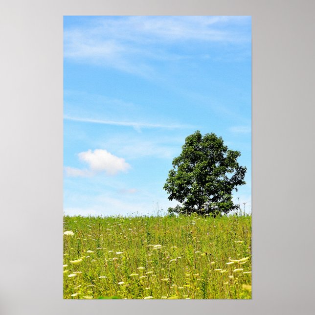 Árvore em um Poster de campo (Frente)
