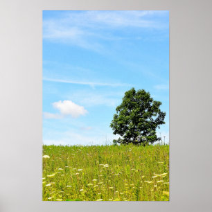 Árvore em um poster do campo