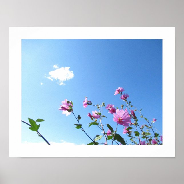 Árvore Mallow no Bloom Poster (Frente)