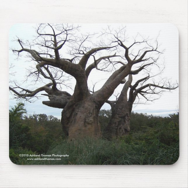 Árvore Mousepad do Baobab (Frente)