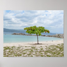ÁRVORE NA PRAIA SECUNDÁRIA EM JAMAICA POSTER