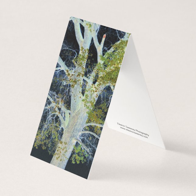 "Árvore Noturna" Imagem alterada Digitalmente de Á (Frente)