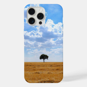 Árvore num campo de trigo colhido