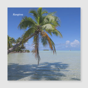 Árvore Palm de Rangiroa