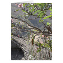 Árvore sobre um telhado thatched - cartão vazio