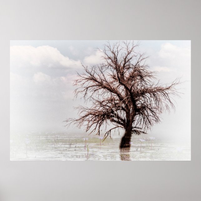 ÁRVORE SOLTEIRO poster A NUM SWAMP COM NEVE (Frente)