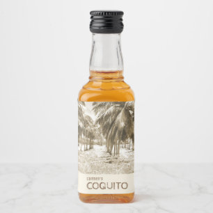 Árvore Tropical de Coconut Palm para Coquito