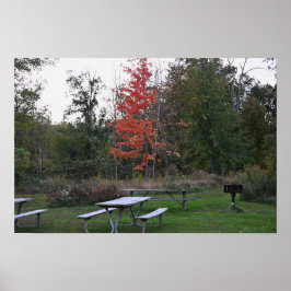 Árvore Vermelha com Poster dos bancos
