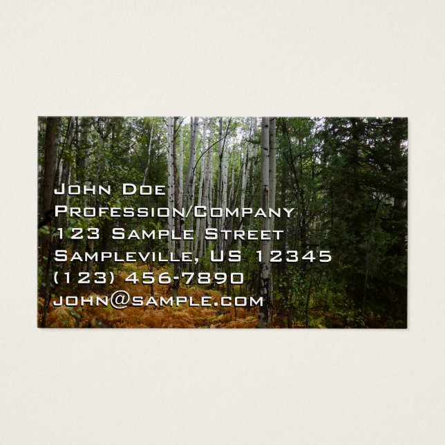 Árvores Brancas e Fall Ferns na Montanha Rochosa (Frente)